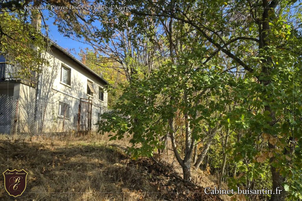 Achat maison theizé 69620 (3)