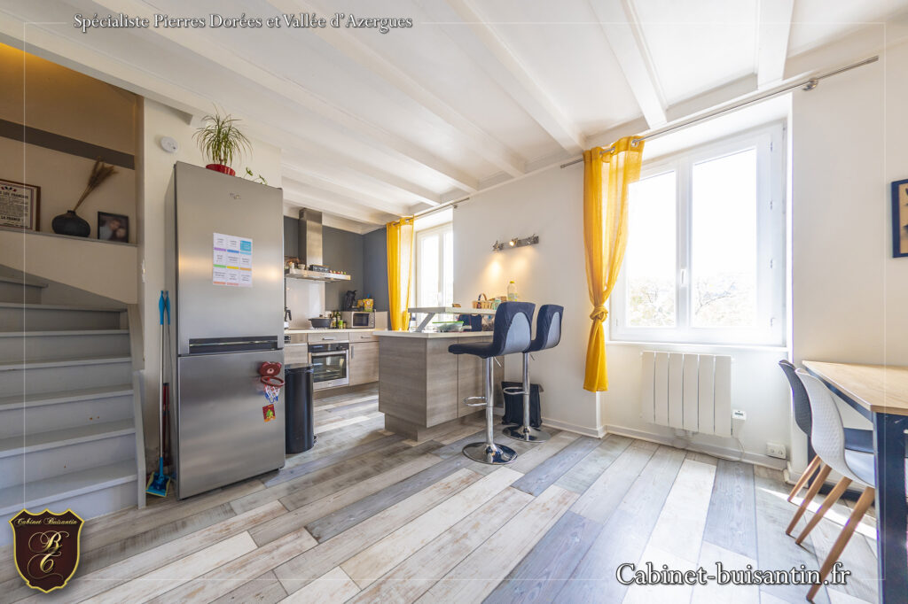 Vente appartement triplex avec parking 69620 ternand (1)