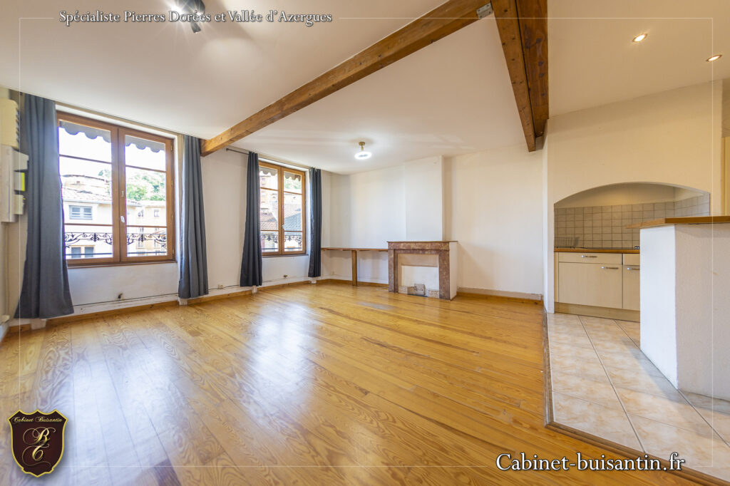 Vente appartement ancien 69380 chessy (1)