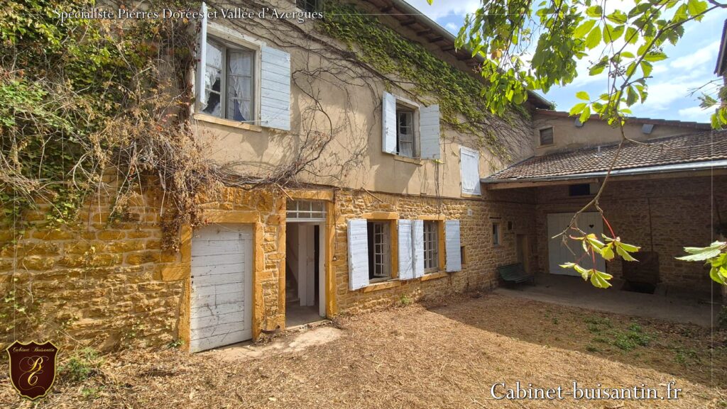 Achat Maison Theizé 69620 Pierres (39)
